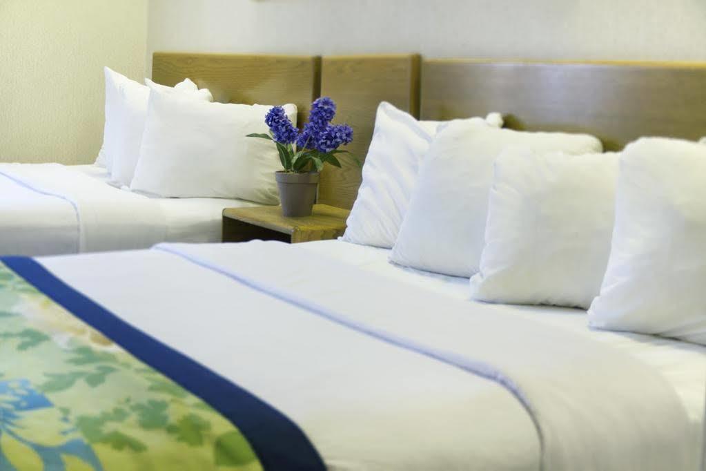 Hampton Inn & Suites-Asheville Biltmore Village, Nc Екстер'єр фото